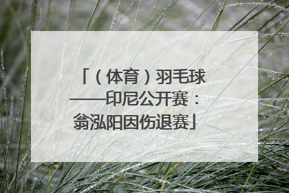 （体育）羽毛球——印尼公开赛：翁泓阳因伤退赛